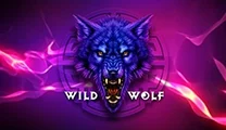 Wild Wolf