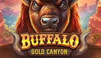 Buffalo